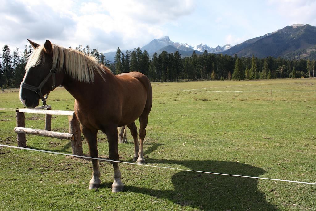Penzion Koliba Vysoké Tatry 외부 사진